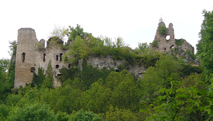 1280px-MorimontProfil1_tt